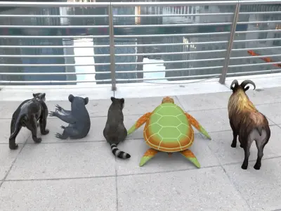 Animal Group Raccoon Sea turtle Wolverine Goat Koala bear 3D model