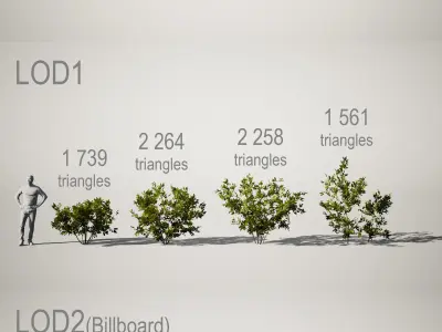 YarovoiPlantsPack plants and grasses Low-poly 3D model