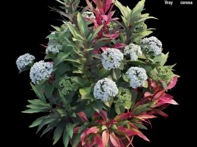 Hydrangea in planters set 06 3D model