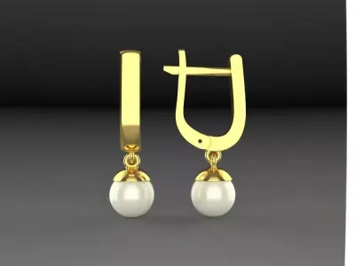 Earrings Elegant 3D print model