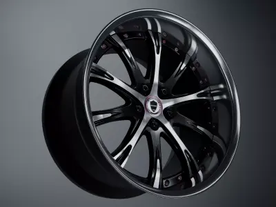 Work Schwert SC4 3D model