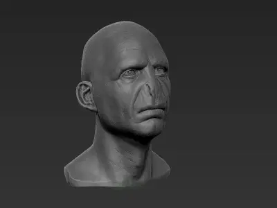 Voldemort Fan Art for 3d print 3D print model