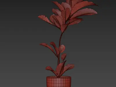indoor plant 023 3D model