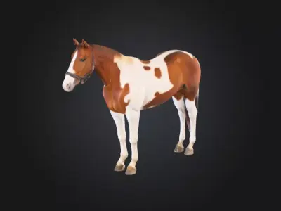 Painted Grace Horse Low-poly 3D model