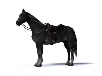 Black horse with saddle and bags Low-poly 3D model