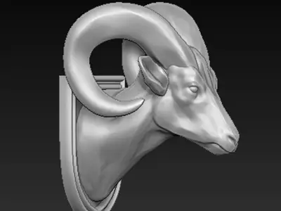 Ram Head 2 3D model