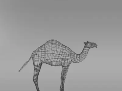 Camel Low-poly 3D model