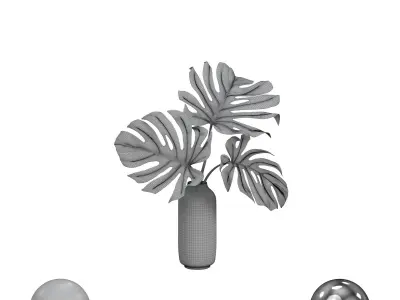 Monstera Leaves 3D model