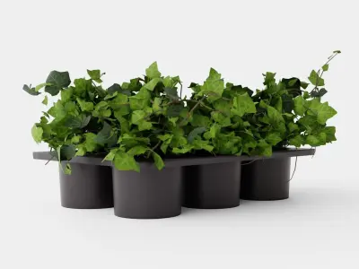Hedera helix Low-poly 3D model