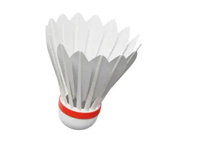 Shuttle Cock 3D model