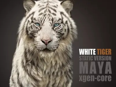 White Tiger 2025 static Xgen Core 3D model