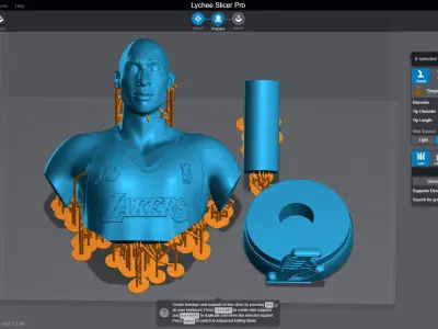 Kobe Bryant 3D Printable 2 3D print model