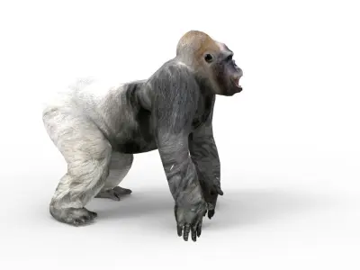 3D Model Gorilla Animated and Rigged Low-poly 3D model