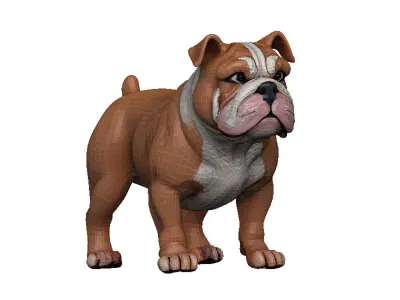 Bulldog Low-poly 3D model buy