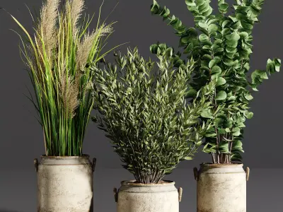 Indoor plant collection 24 3D model