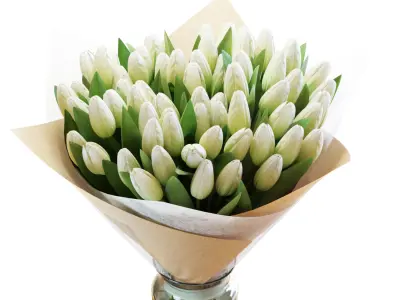 Flower Set 31 - White Tulips Bouquet 3D model