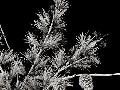 Vase set 1 vases with pine cones 3D model