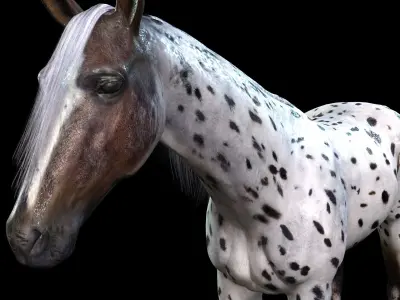 Thoroughbred Arabian Horse WILD WORLD PONY 6 Low-poly 3D model