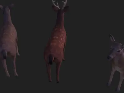 Sika deer complete animation Low-poly 3D model