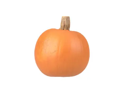 Photorealistic Pumpkin 3D Scan 2 3D model