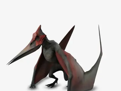 Pteranodon 3D model