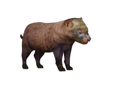 Bush Dog Low-poly 3D model