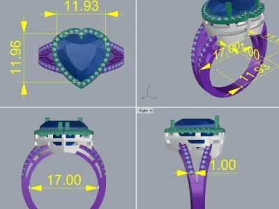 Ring 43 3D print model purchase