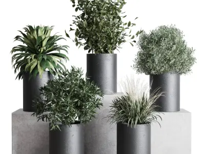 Small plants pot  indoor plant set 280 3D model