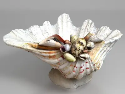 Shell Bowl Low-poly 3D model