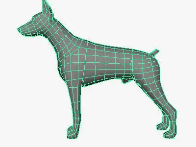Low Poly Doberman pinscher Low-poly 3D model