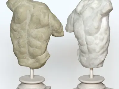 Male Torso Decor Set 25  3D model