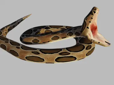 Russel Viper - Low Poly - Game Ready - Rigged Low-poly 3D model