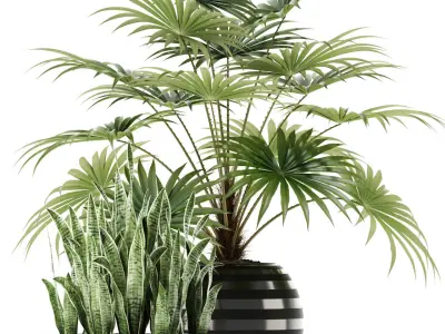 Plants collection 103 3D model