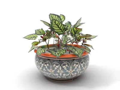 Elegant Ceramic Planter model pack Low-poly 3D model