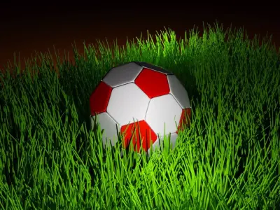 Soccer Ball Free 3D model 10