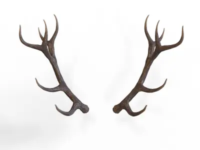 Deer Horns Low-poly 3D model