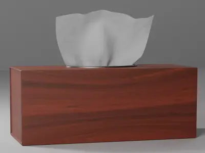 Wooden Tissue Box 3d model 3D model
