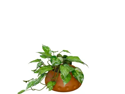10 Realistic Indoor Plants Pack Interior Decoration Assets 3D model