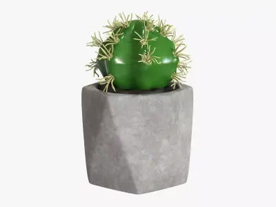 Potted plant decorative 09 3D model