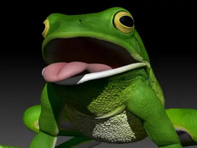 American Tree Frog 3D model