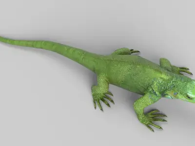 Iguana 3D model
