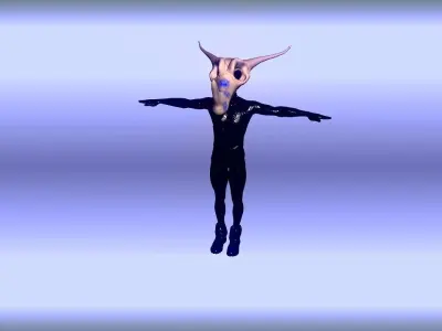 2 Toon Masks Low-poly 3D model