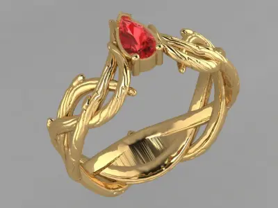 Rings Kochut  3D print model