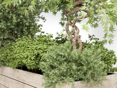 outdoor plant 18 in wood bax pot 3D model