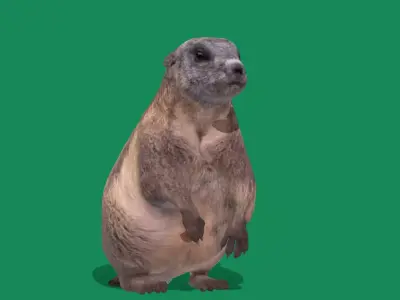 Groundhog Marmots Low-poly 3D model
