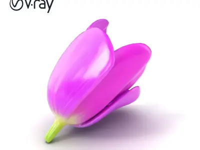 Purple Tulip Petals Detailed 3D Model Pack Low-poly 3D model