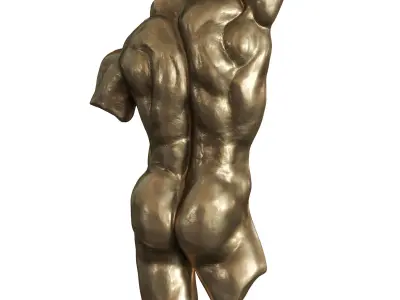 Nude Torso Wall Sculptures 3D model