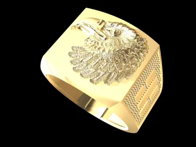 Eagle Rings Texture 3D print model 3D print model
