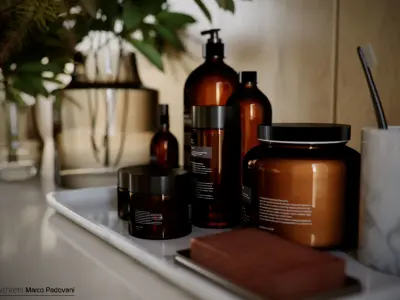 Warm Wood Bathroom Cinema 4D and Corona 3D model