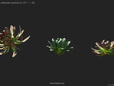 Maxtree Plant Models Vol 14 Low Poly - Mesh 3D model